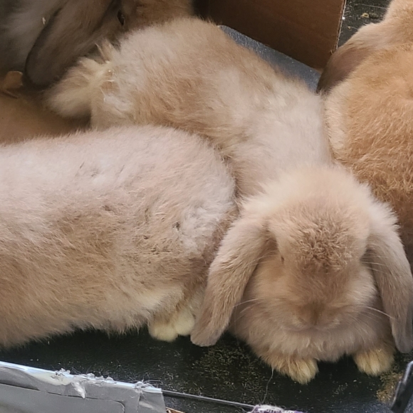 Haaayyyyyy It's meeee.... Jenna - Picture 8 of 12